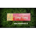 Ylang Ylang